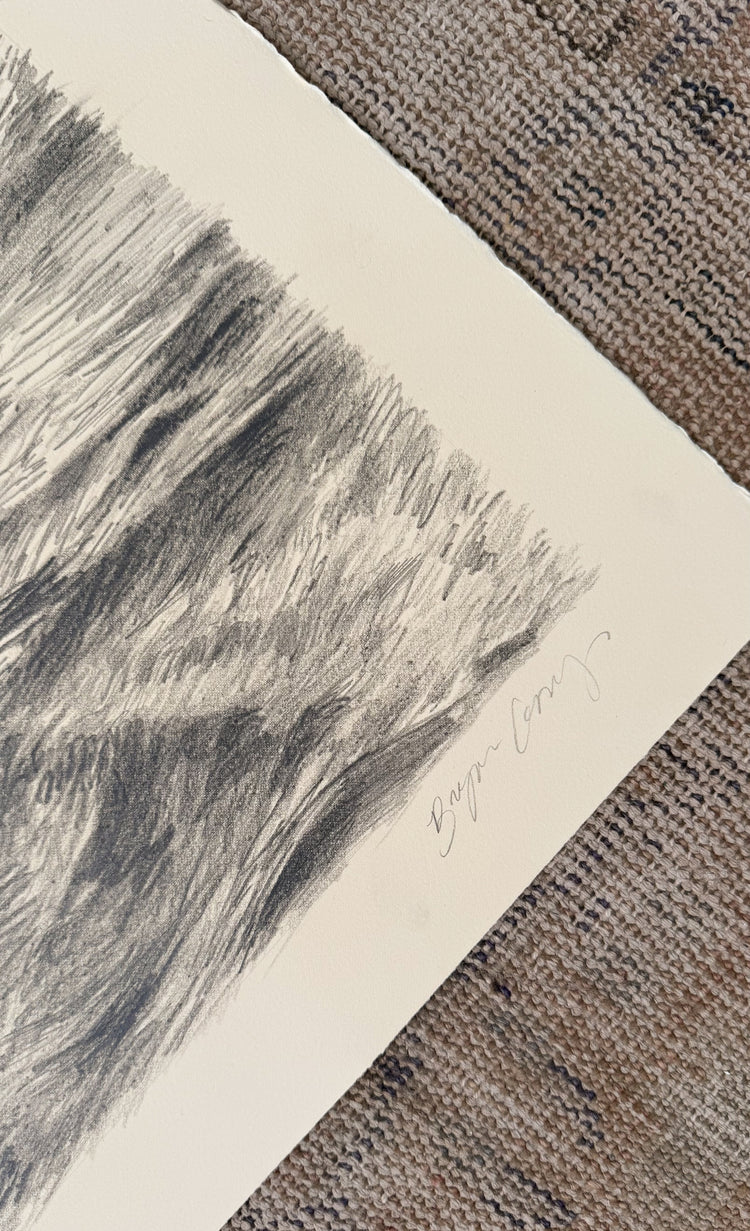 Water Has Memory 22x30"